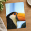 Close Up of Toucan Photo Print (7 Sizes) - Satin Luster