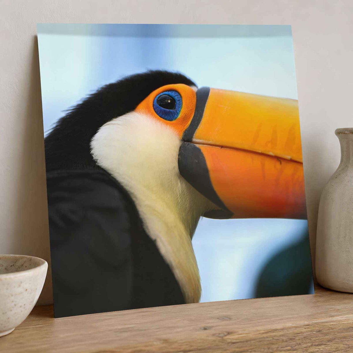 Close Up of Toucan Photo Print (7 Sizes) - Satin Luster