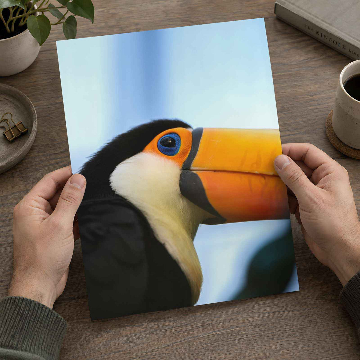 Close Up of Toucan Photo Print (7 Sizes) - Satin Luster