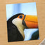 Close Up of Toucan by Cphotos Photo Print Wall Decor
