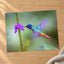 Hummingbird Hovering Over Purple Flower Photo Print (7 Sizes) - Shipped Flat