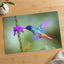 Hummingbird Hovering Over Purple Flower Photo Print (7 Sizes) - Shipped Flat