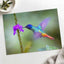 Hummingbird Hovering Over Purple Flower Photo Print (7 Sizes) - Shipped Flat