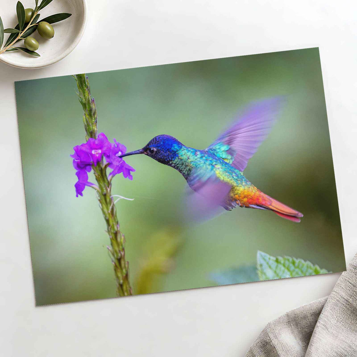 Hummingbird Hovering Over Purple Flower Photo Print (7 Sizes) - Shipped Flat