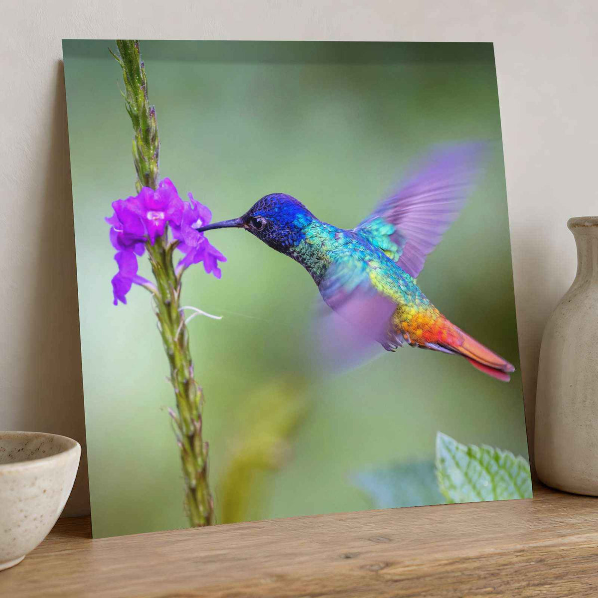 Hummingbird Hovering Over Purple Flower Photo Print (7 Sizes) - Shipped Flat