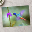 Hummingbird Hovering Over Purple Flower Photo Print (7 Sizes) - Shipped Flat