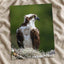 Osprey in Nest Photo Wall Art (5 Sizes) - Ready to Frame