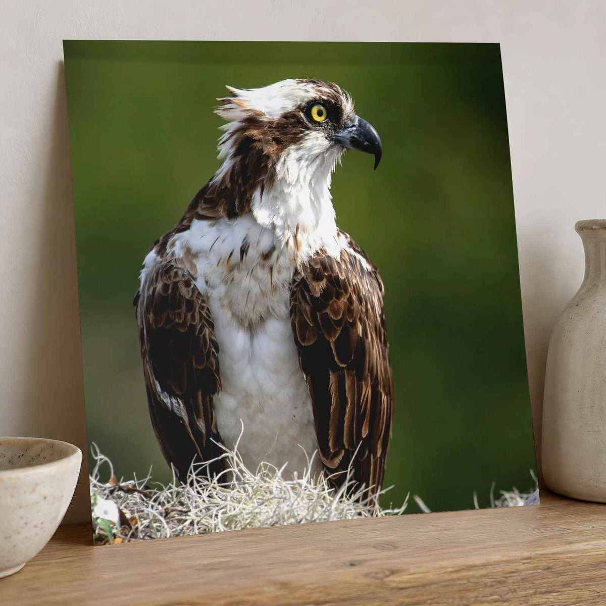Osprey in Nest Photo Wall Art (5 Sizes) - Ready to Frame