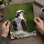 Osprey in Nest Photo Wall Art (5 Sizes) - Ready to Frame