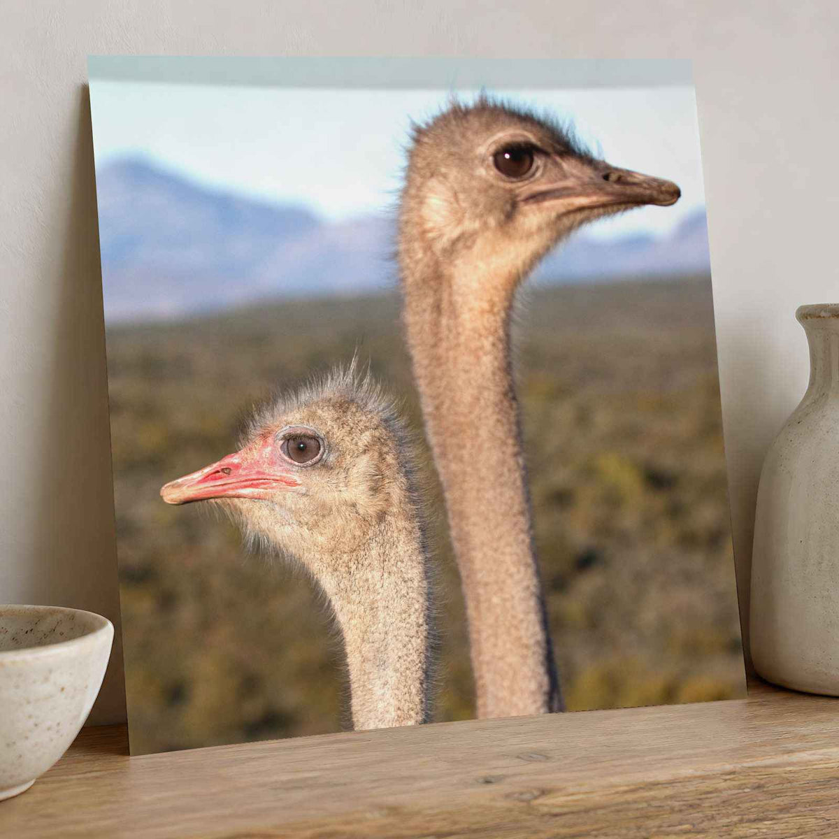 Two Ostrich Heads Photo Print (7 Sizes) - Printed in USA