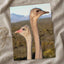 Two Ostrich Heads Photo Print (7 Sizes) - Printed in USA