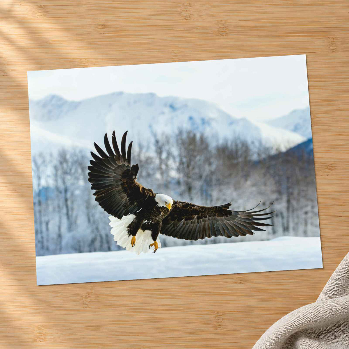Bald Eagle Swooping Down to Alaska Snow Photography Print (7 Sizes) - Frameable