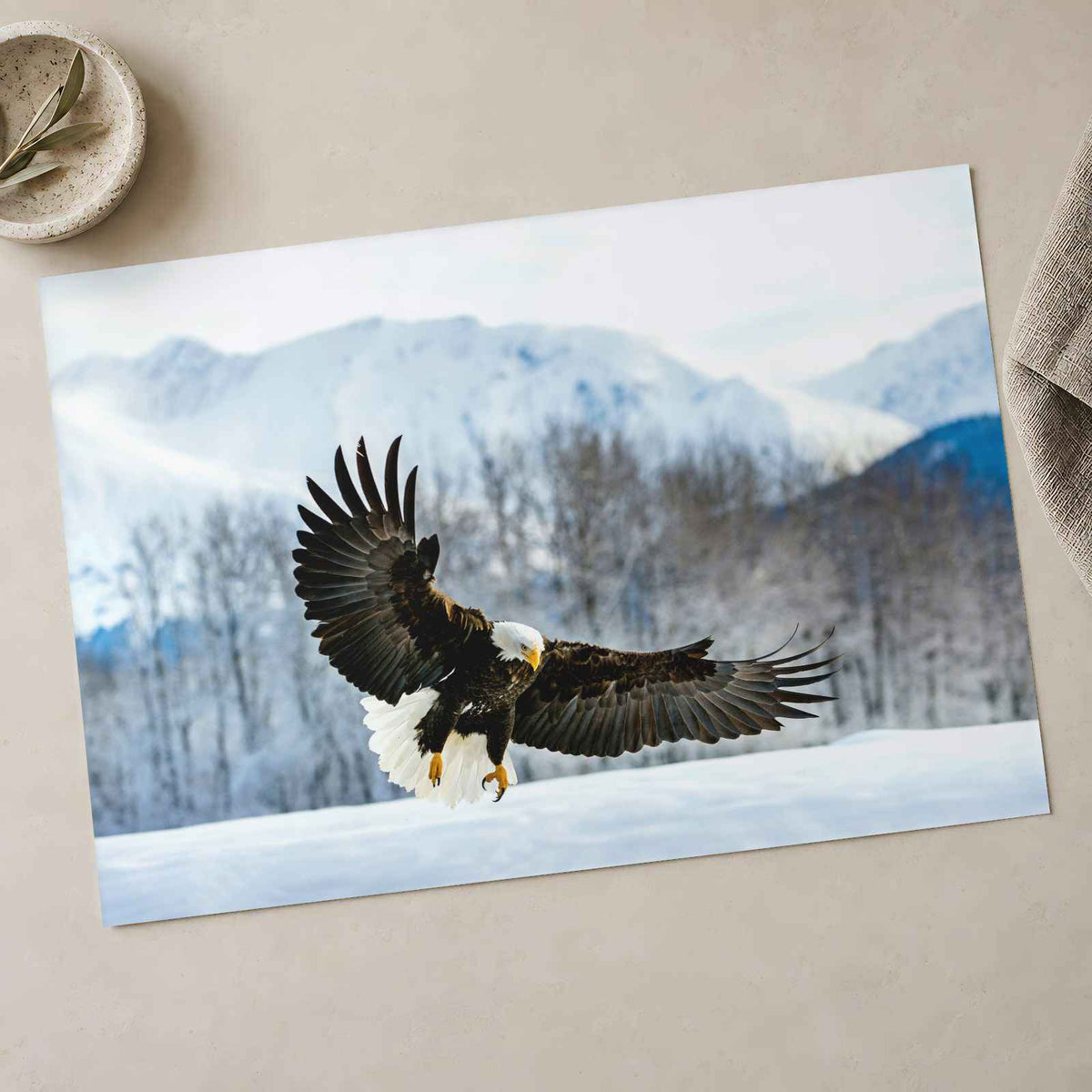 Bald Eagle Swooping Down to Alaska Snow Photography Print (7 Sizes) - Frameable