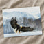 Bald Eagle Swooping Down to Alaska Snow Photography Print (7 Sizes) - Frameable