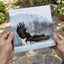 Bald Eagle Swooping Down to Alaska Snow Photography Print (7 Sizes) - Frameable