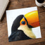 Close Up of Toucan on White Background Photography Print (7 Sizes)