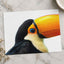 Close Up of Toucan on White Background by Cphotos Photo Print Wall Decor