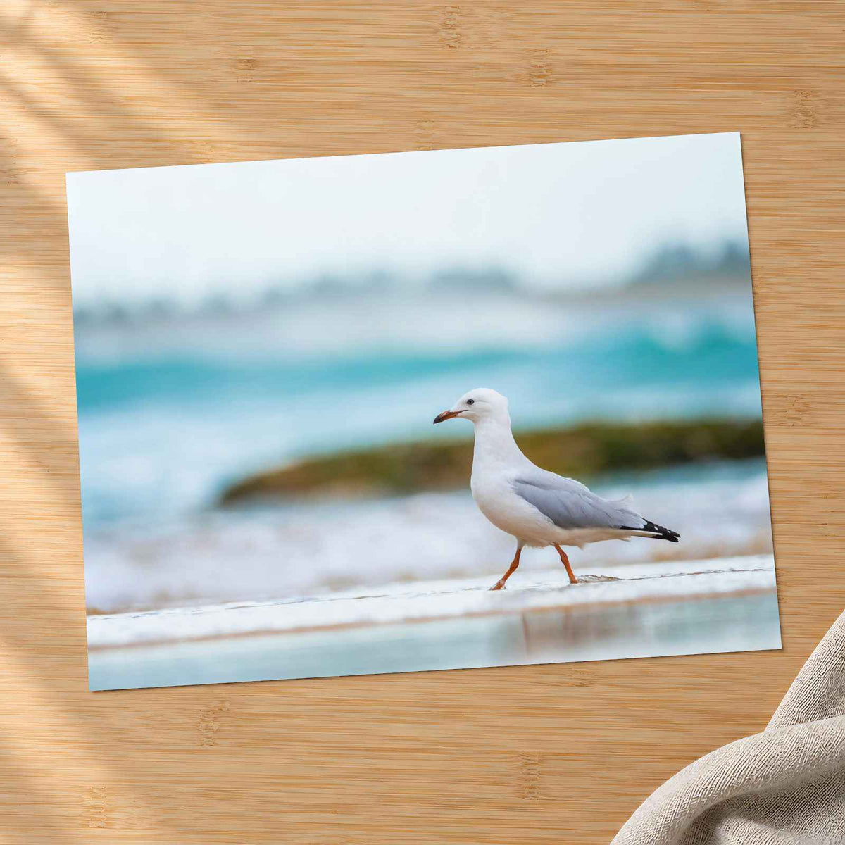 Seagull Walking on Beach Photo Print (7 Sizes) - Crisp Detail