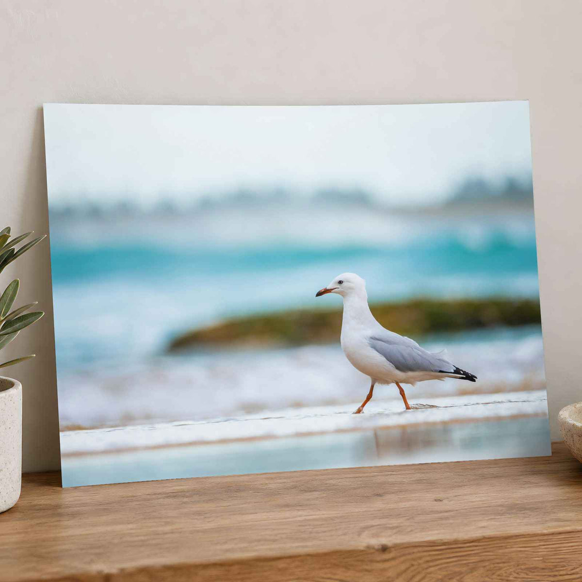 Seagull Walking on Beach Photo Print (7 Sizes) - Crisp Detail