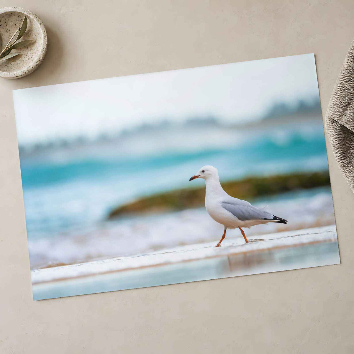 Seagull Walking on Beach Photo Print (7 Sizes) - Crisp Detail