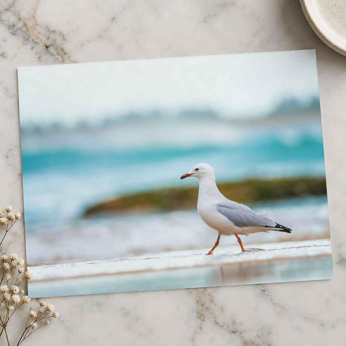 Seagull Walking on Beach Photo Print (7 Sizes) - Crisp Detail