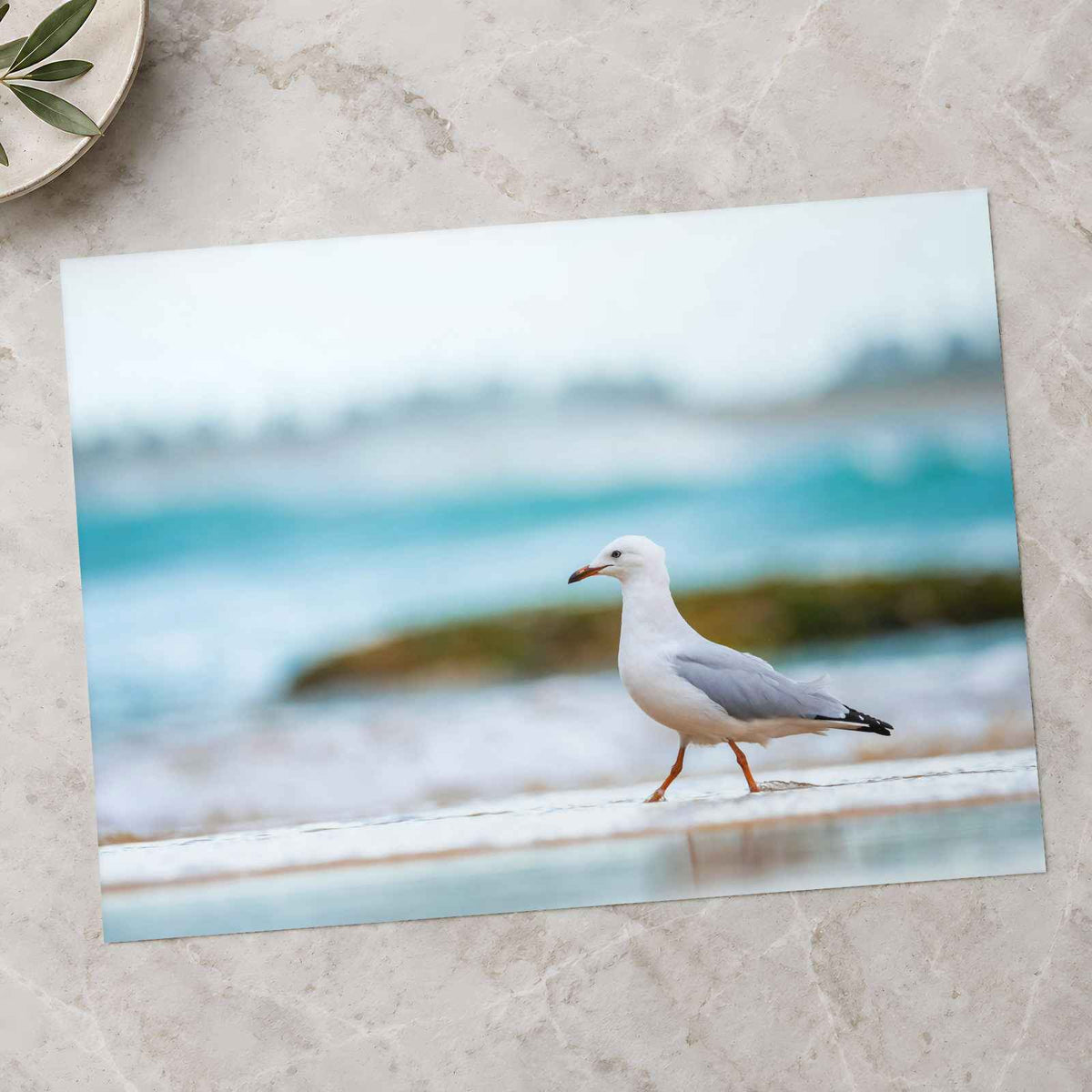 Seagull Walking on Beach Photo Print (7 Sizes) - Crisp Detail