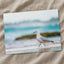 Seagull Walking on Beach by Jacob Dyer Photo Print Wall Decor