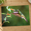 Hummingbird Feeding on Flower Photo Wall Print (7 Sizes) - High Quality