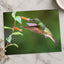 Hummingbird Feeding on Flower Photo Wall Print (7 Sizes) - High Quality