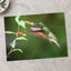 Hummingbird Feeding on Flower Photo Wall Print (7 Sizes) - High Quality
