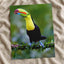 Colorful Toucan Perched on Tree Branch Boca Tapada Photo Wall Print (7 Sizes)