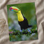 Colorful Toucan Perched on Tree Branch Boca Tapada Photo Wall Print (7 Sizes)