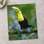 Colorful Toucan Perched on Tree Branch by Zdeněk Macháček Photo Print Wall Decor