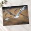 Flock of Seagulls Flying Through the Air Photo Print (7 Sizes) - Premium Quality