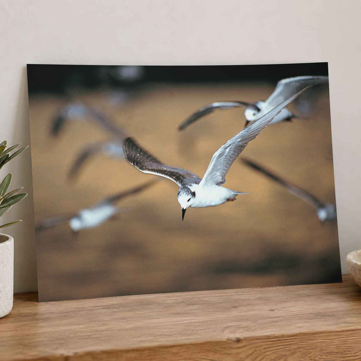 Flock of Seagulls Flying Through the Air Photo Print (7 Sizes) - Premium Quality