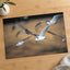 Flock of Seagulls Flying Through the Air Photo Print (7 Sizes) - Premium Quality