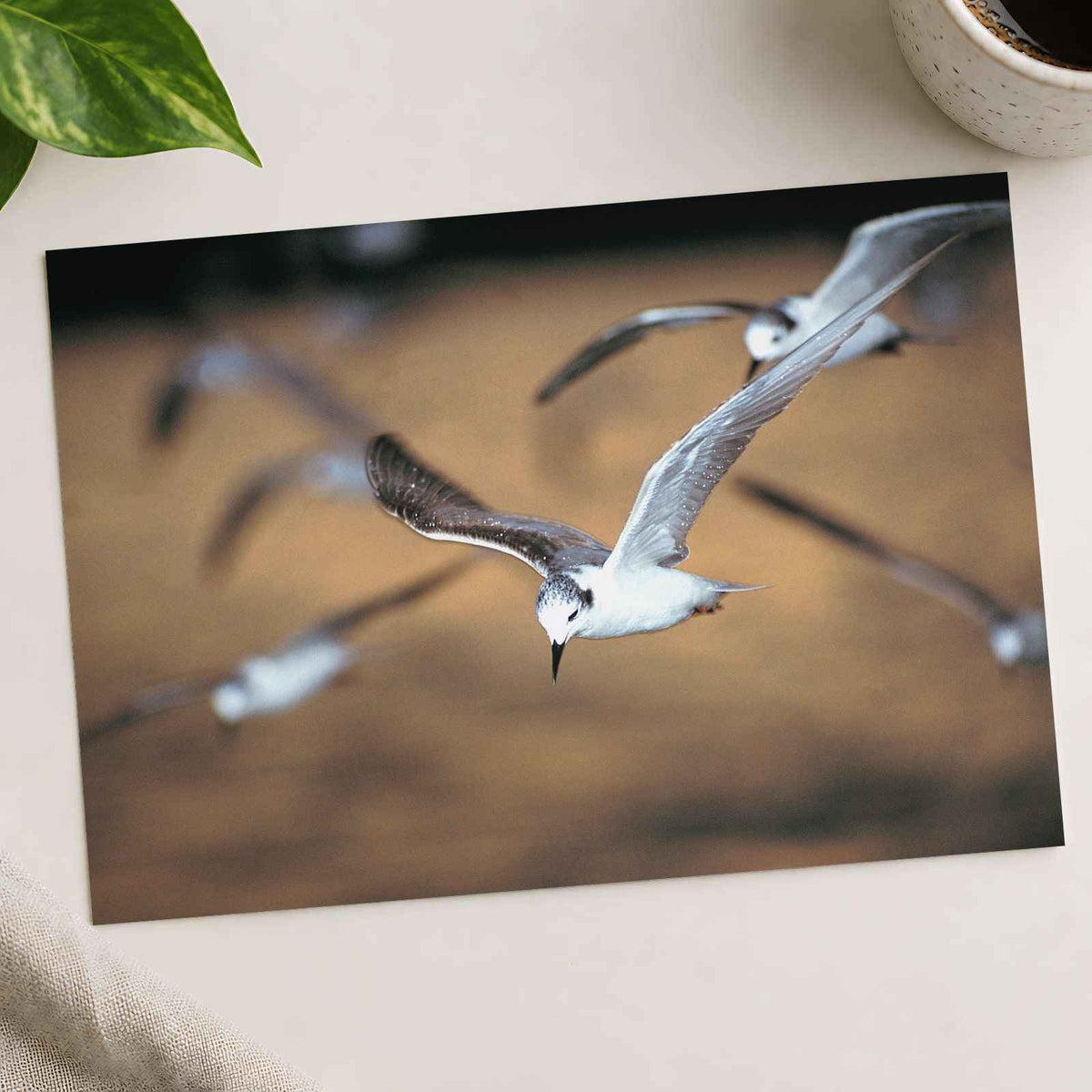 Flock of Seagulls Flying Through the Air Photo Print (7 Sizes) - Premium Quality