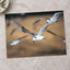 Flock of Seagulls Flying Through the Air Photo Print (7 Sizes) - Premium Quality