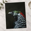 Close Up of Bird with Black Background Photo Print (7 Sizes) - Premium Quality