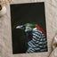 Close Up of Bird with Black Background Photo Print (7 Sizes) - Premium Quality