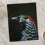 Close Up of Bird with Black Background Photo Print (7 Sizes) - Premium Quality