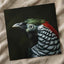 Close Up of Bird with Black Background Photo Print (7 Sizes) - Premium Quality