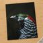 Close Up of Bird with Black Background by Cphotos Photo Print Wall Decor