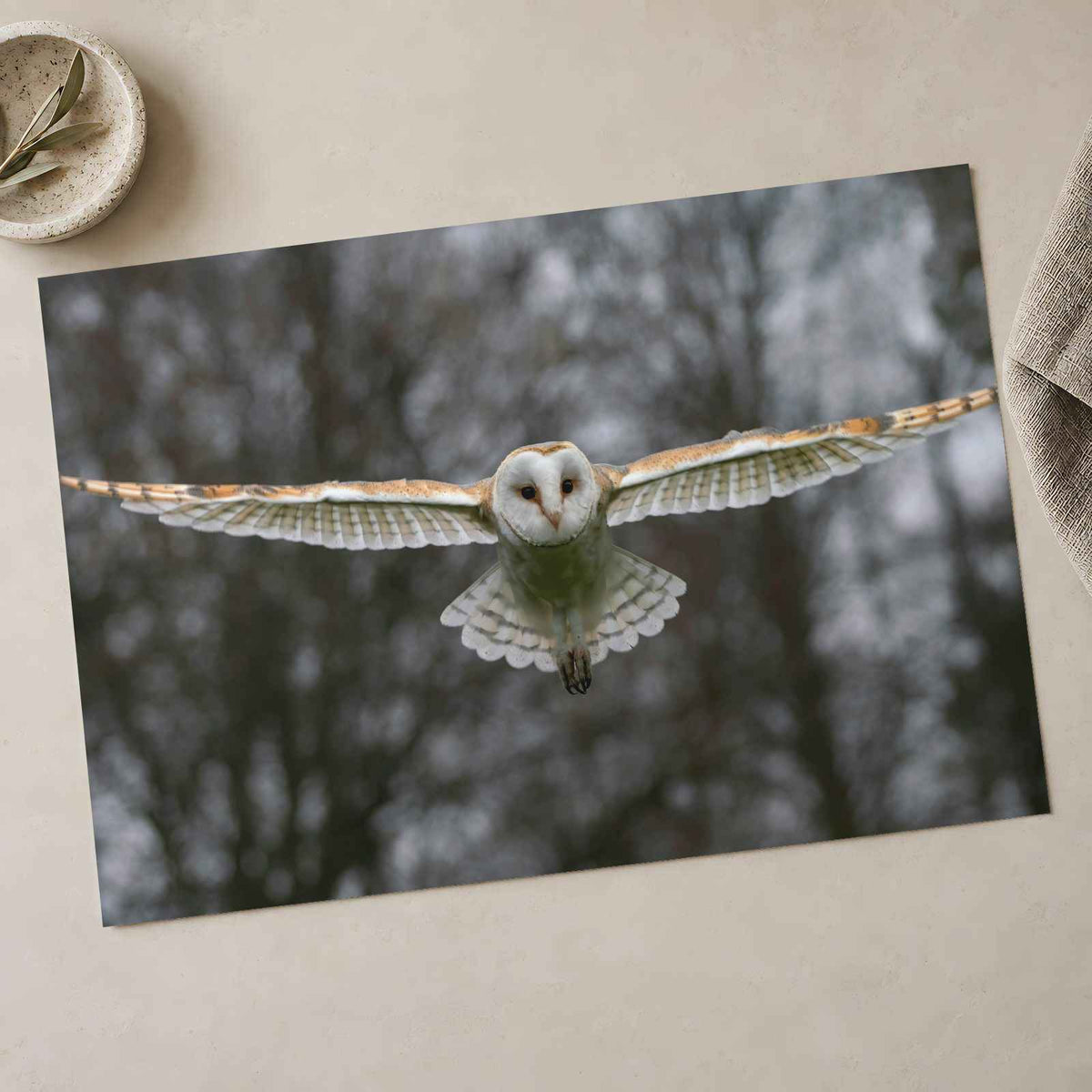 Flying Barn Owl Photo Print (7 Sizes) - Shipped Flat
