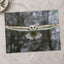 Flying Barn Owl Photo Print Wall Decor