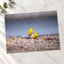 Two Yellow Birds Sitting on Rock in Rain Hawaii Photo Print (7 Sizes)