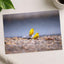 Two Yellow Birds Sitting on Rock in Rain Hawaii Photo Print (7 Sizes)