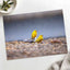 Two Yellow Birds Sitting on Rock in Rain Hawaii Photo Print (7 Sizes)