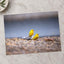 Two Yellow Birds Sitting on Rock in Rain Hawaii Photo Print (7 Sizes)