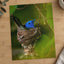 Blue Bird Sitting in Nest on Tree Branch Photography Print (5 Sizes) - Frameable